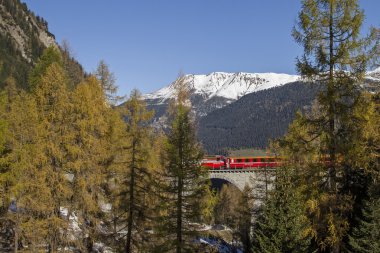 Albula treni