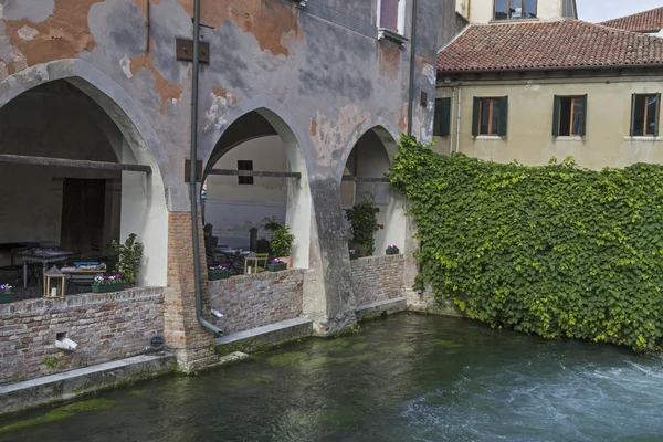 Treviso in Veneto — Stock Photo, Image