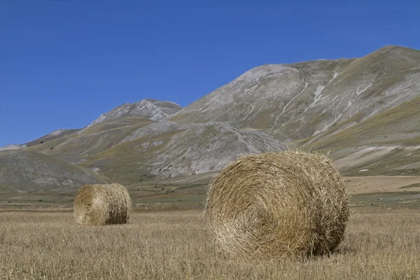 Hay balls in Umbria — Stock Photo, Image