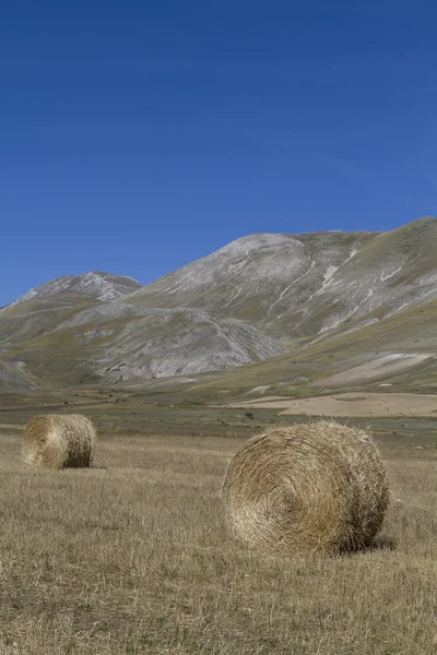 Bolas de feno na umbria — Fotografia de Stock