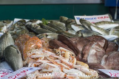 Balık pazarı detay