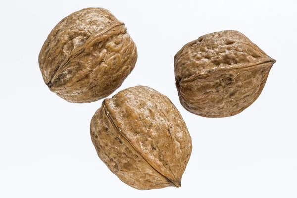 Walnut — Stock fotografie