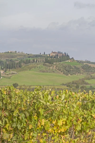 Tuscany intryck — Stockfoto
