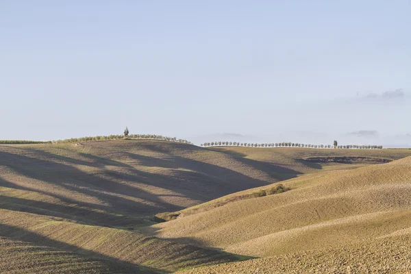 Brown fields in Tuscany — Stock Photo, Image