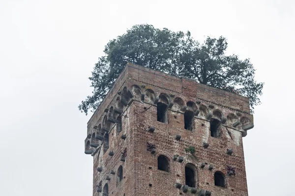 Torre guingi in Lucca — Stockfoto