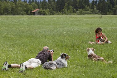 dog shooting