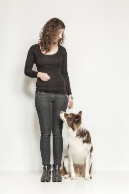 köpek eğitimi