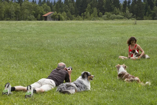 dog shooting