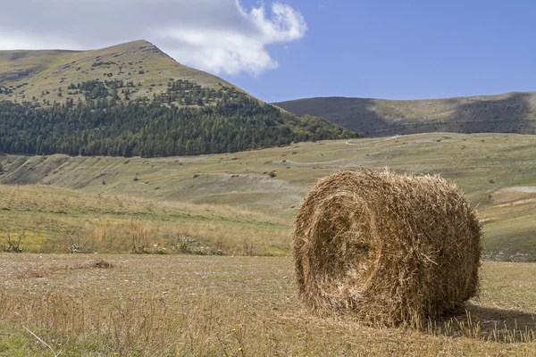 Bolas de feno na umbria — Fotografia de Stock