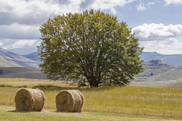 Hay balls in Umbria — Stock Photo, Image