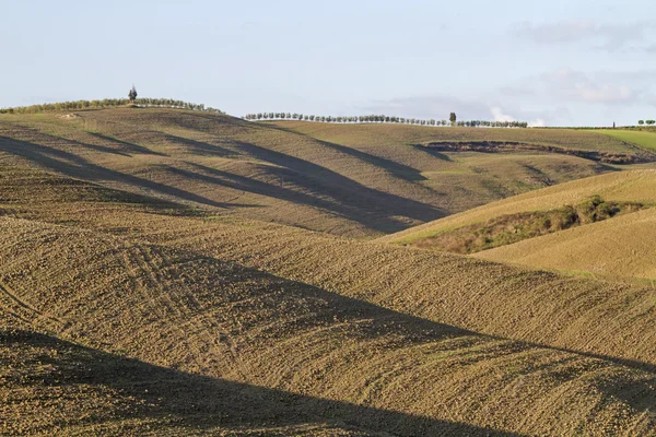 Bruna fält i Toscana — Stockfoto