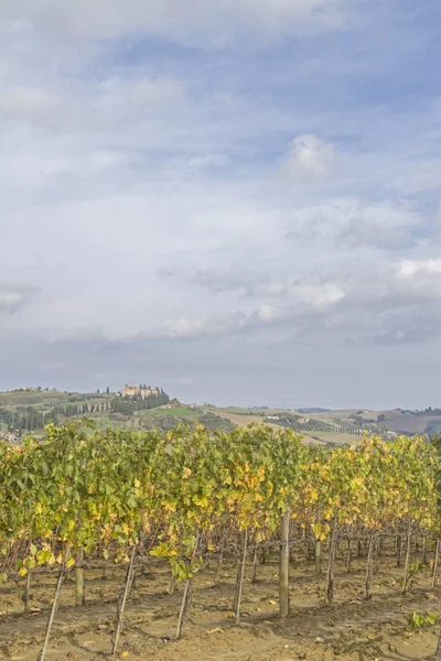 Tuscany intryck — Stockfoto