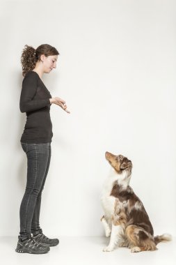köpek eğitimi