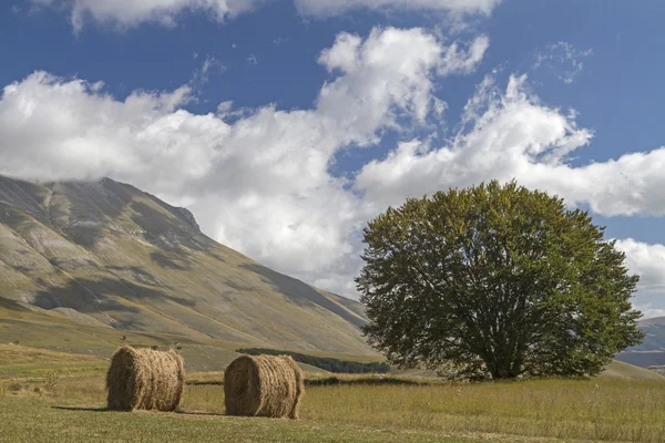 Bolas de feno na umbria — Fotografia de Stock