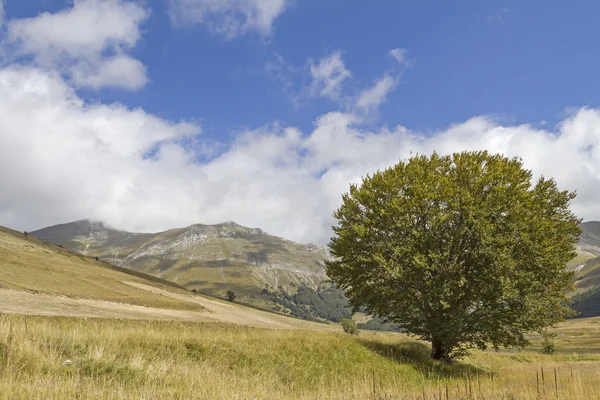 in the mountains Sibellini