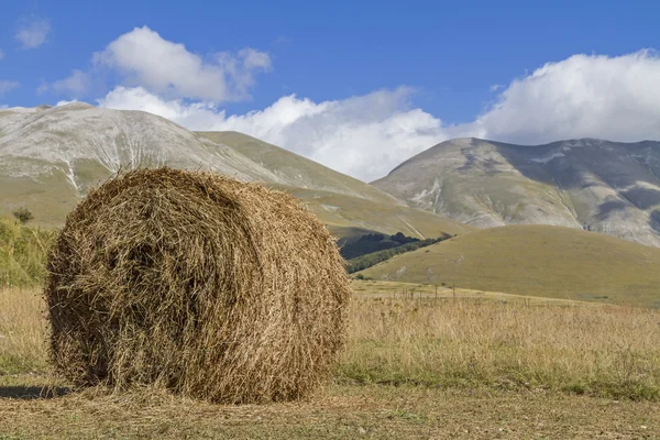 Bolas de feno na umbria — Fotografia de Stock