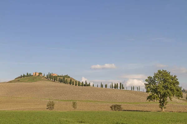 Em Creta Senesi — Fotografia de Stock