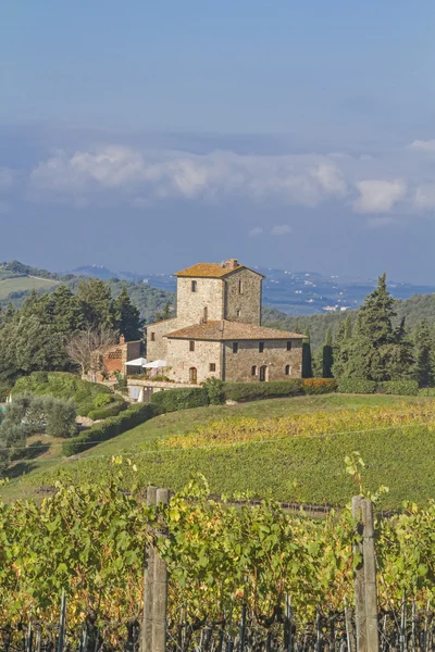 Vingård i chianti — Stockfoto