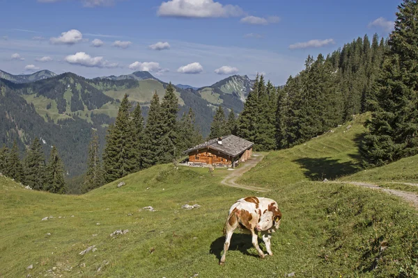 较低的 Wildfeldalm-田园山庄在你将增加传递给 Rotwand 首脑会议 — 图库照片