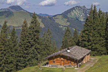 Alt Wildfeldalm - pastoral mountain lodge sen adlı geçmek artış Rotwand zirveye