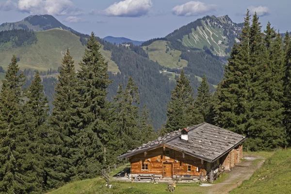 Lagere Wildfeldalm - idyllische berghut op je doorgeven de verhoging aan Pefka top — Stockfoto