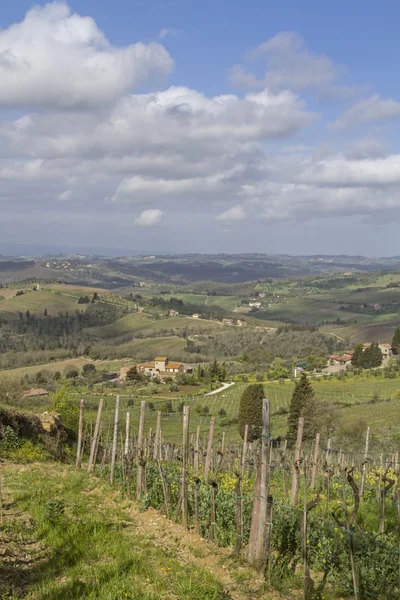 Landskapet i Chianti — Stockfoto