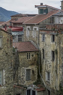 Ceriana ayrıntıları