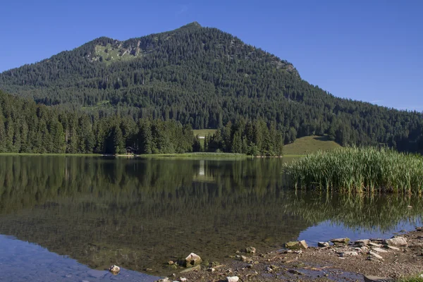 Sjön Spitzingsee — Stockfoto