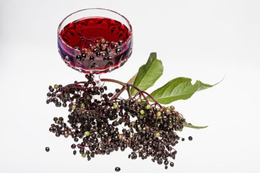 Elderberry liqueur clipart