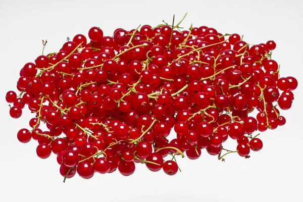 Currants red — Zdjęcie stockowe