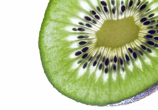 Kiwi-schijfje — Stockfoto