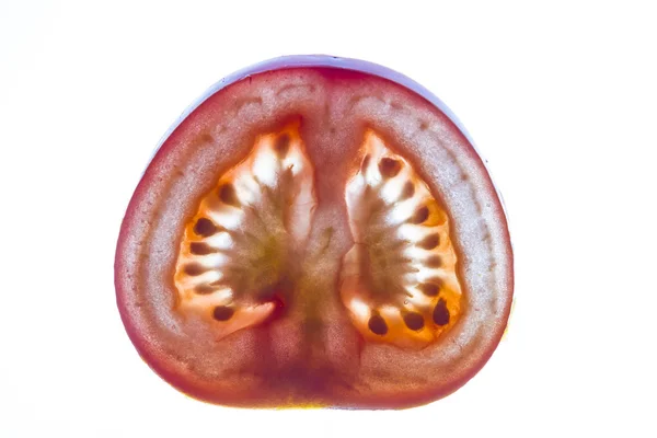 Pomidor skice — Zdjęcie stockowe