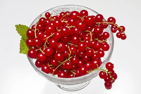 Currants red — Zdjęcie stockowe