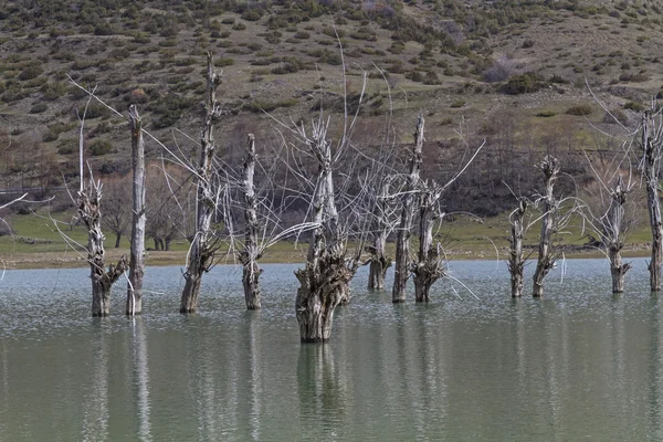 Lago di Campotosto — Φωτογραφία Αρχείου