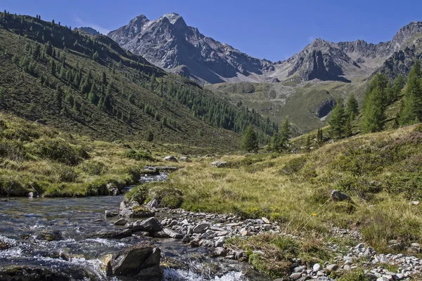 Mountain creek v údolí Oetztal — Stock fotografie