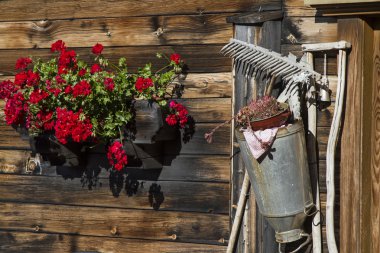 Natürmort alpine hut