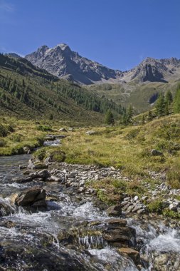 Dağ dere Oetztal Vadisi