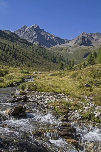 Berg creek in Oetztal vallei — Stockfoto