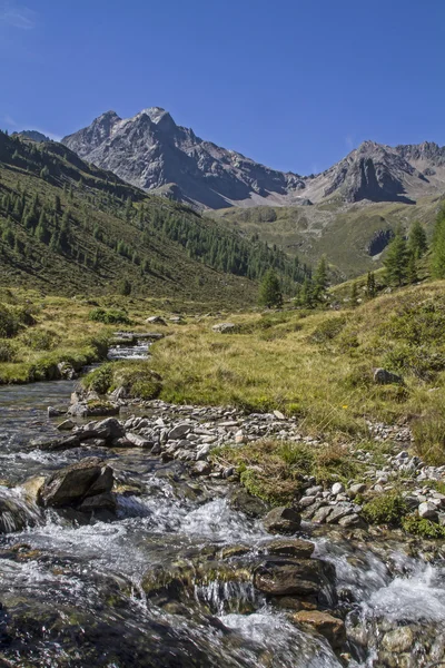 Torrente di montagna nella valle dell'Oetztal — Foto Stock