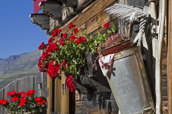 Stilleven alpenhut — Stockfoto