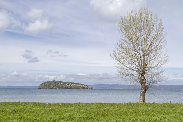 Isola Martana in  Lake Bolsena — Stockfoto