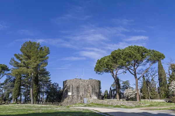 Rocca en Todi —  Fotos de Stock