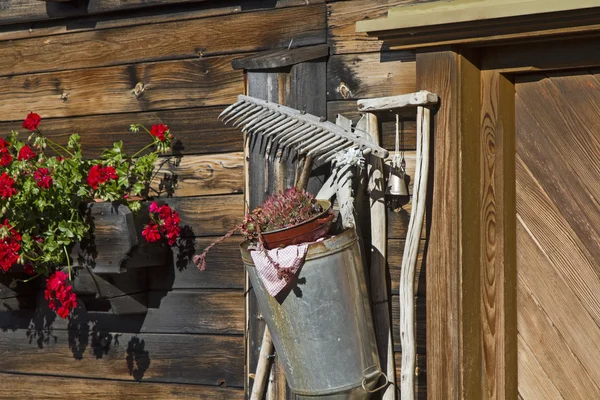 Stilleven alpenhut — Stockfoto