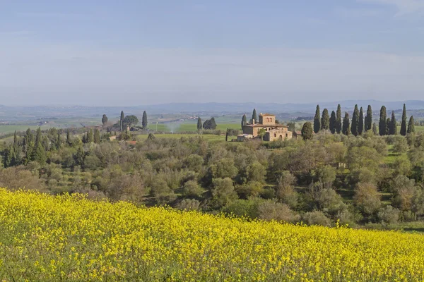 Landschap Toscane — Stockfoto