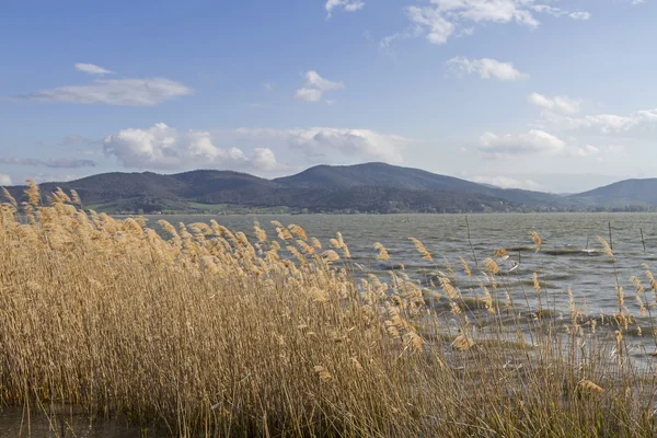 Στη λίμνη Trasimeno — Φωτογραφία Αρχείου