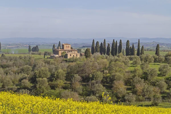 Paisaje en Toscana en Val di Orcia — Foto de Stock