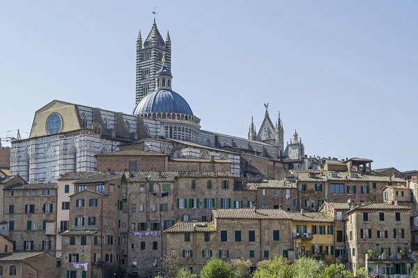 Siena — Stock Photo, Image