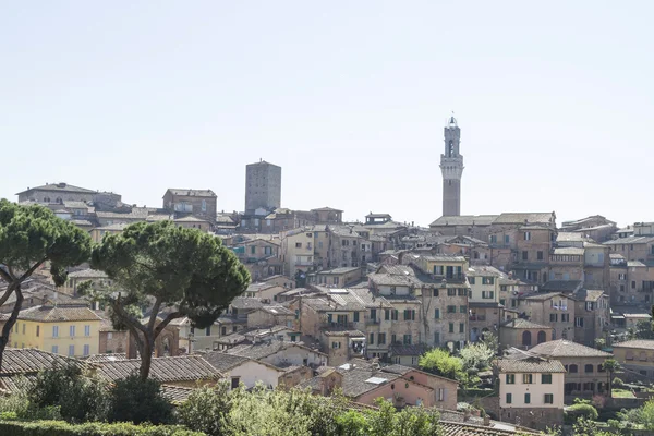 Siena — Stock Photo, Image