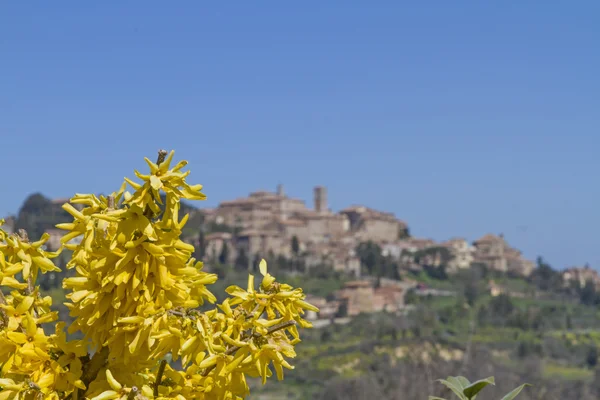 Montepulciano — Stockfoto