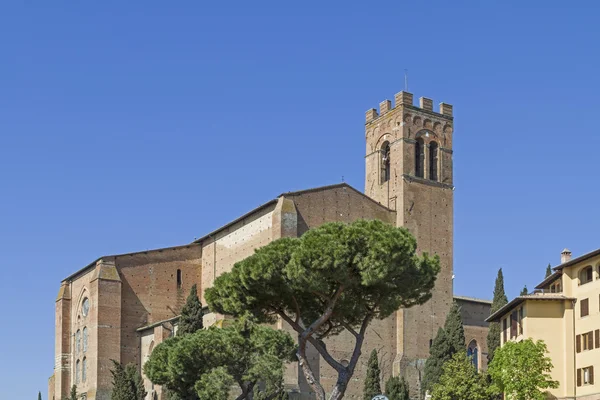 San domenico em Siena — Fotografia de Stock